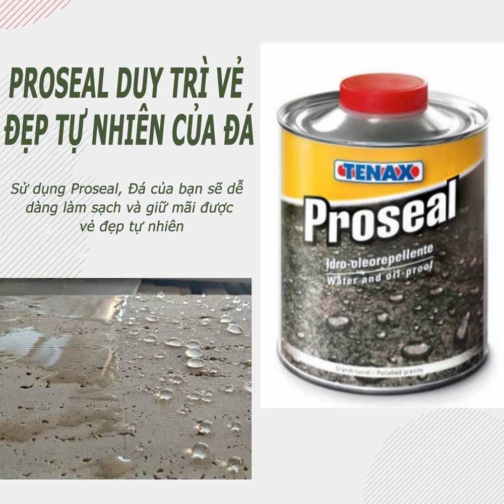 Chống Thấm Đá Tự Nhiên Tenax Proseal